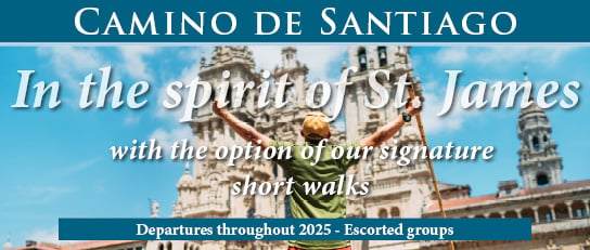 Camino de Santiago 2025