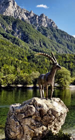 Escorted Group Tour to Slovenia