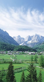Escorted Group Tour to Slovenia